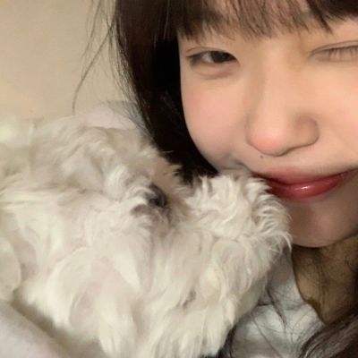 果盘项羽传无限版下载